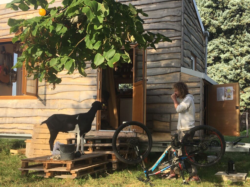 tiny house dans jardin chèvre